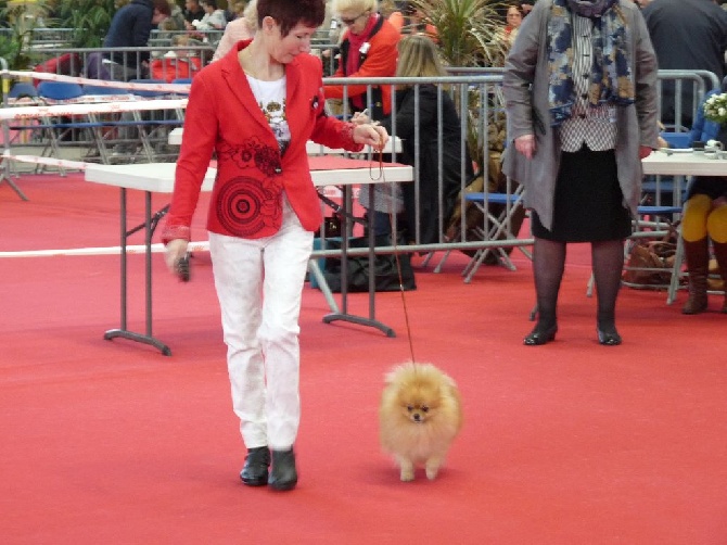 flores lane - Exposition internationale de LIMOGES le 12.04.15